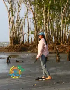 sundarban (19)