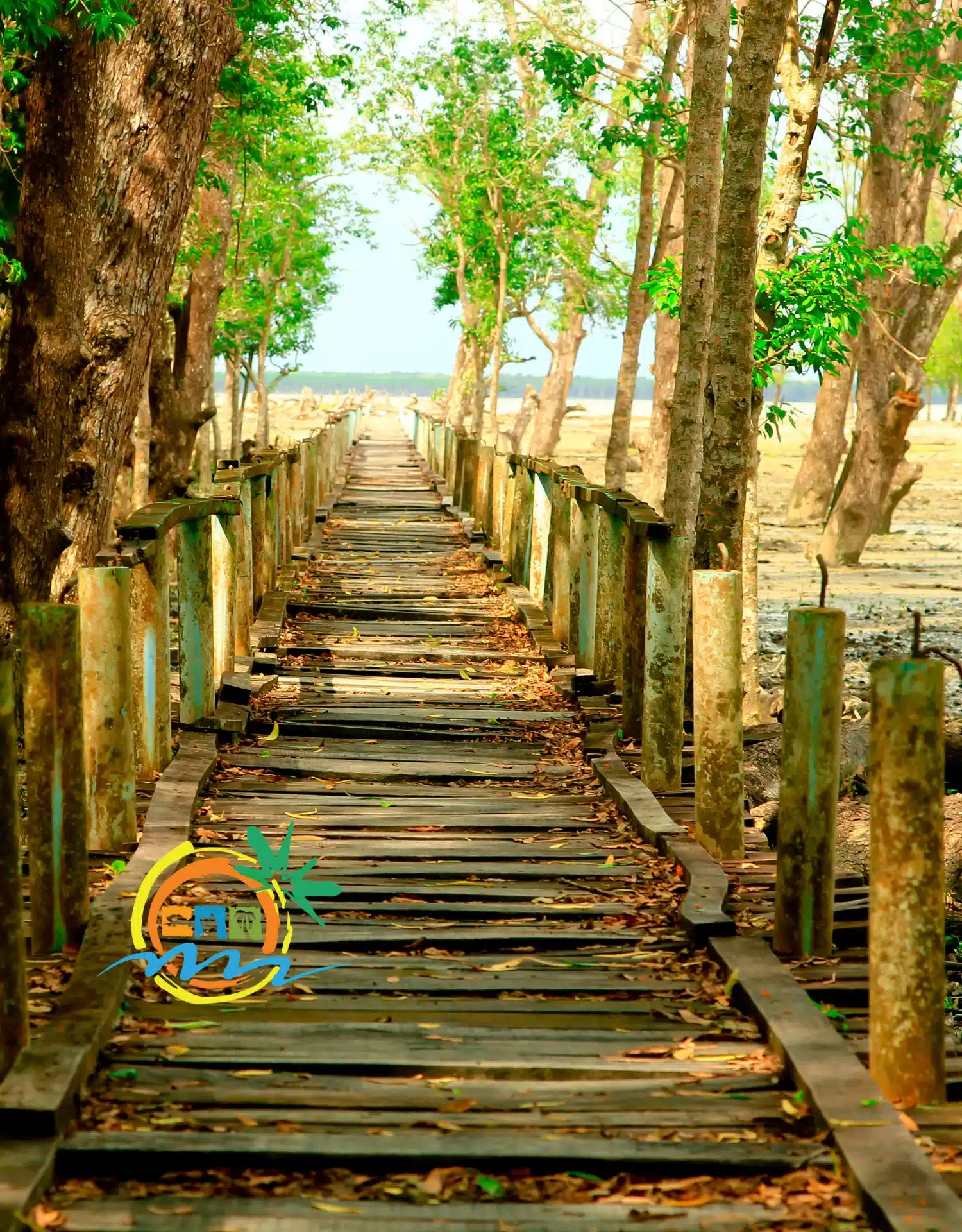 sundarban (22)