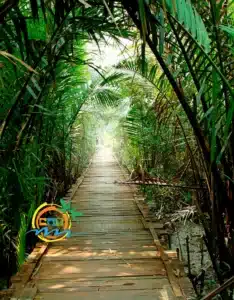sundarban (24)