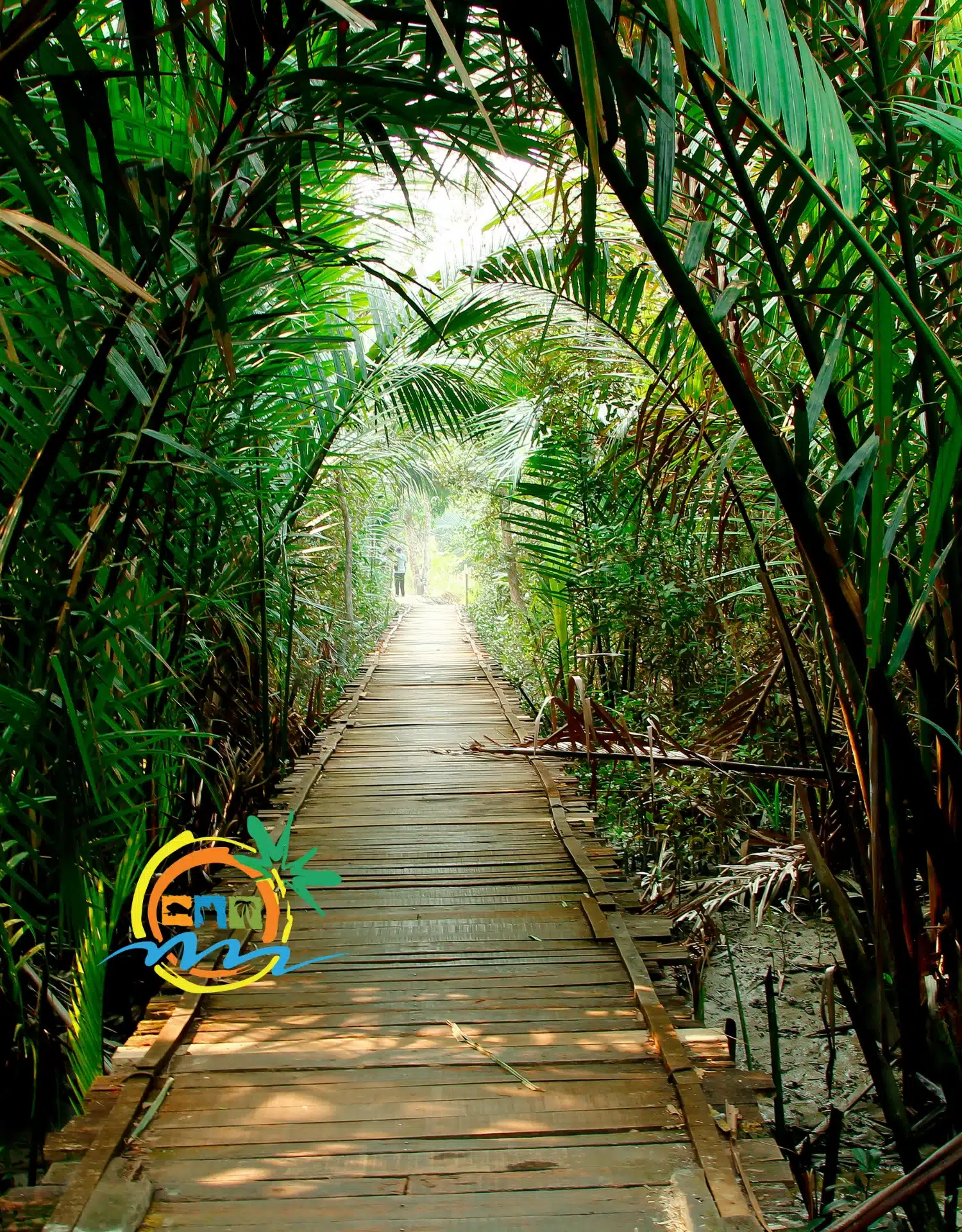 sundarban (24)