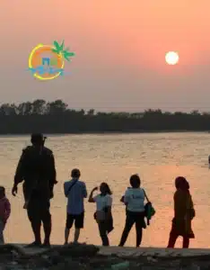 sundarban (27)