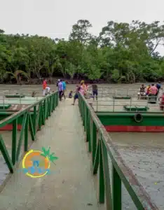sundarban (39)