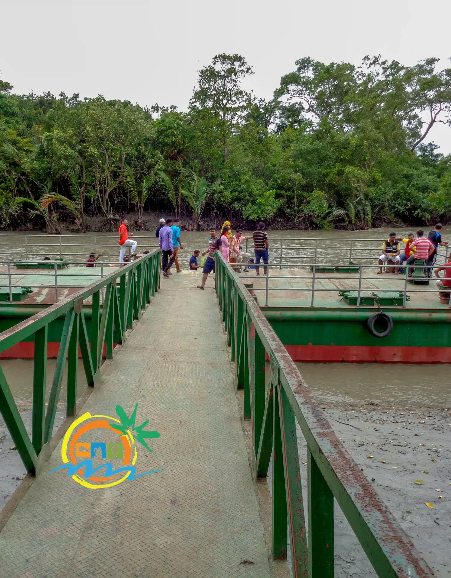 sundarban (39)