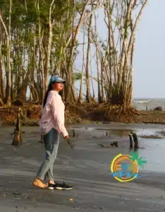 sundarban (41)
