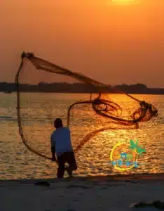 sundarban (42)