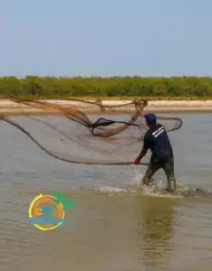 sundarban (43)