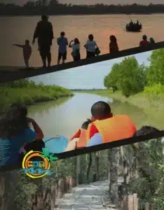 sundarban (46)