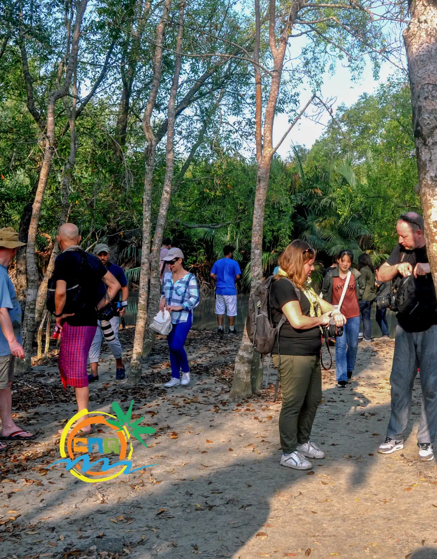 sundarban (5)