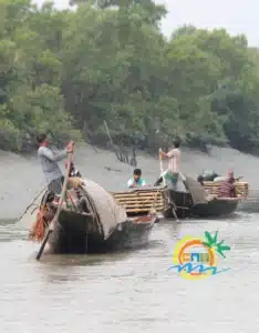 sundarban (53)
