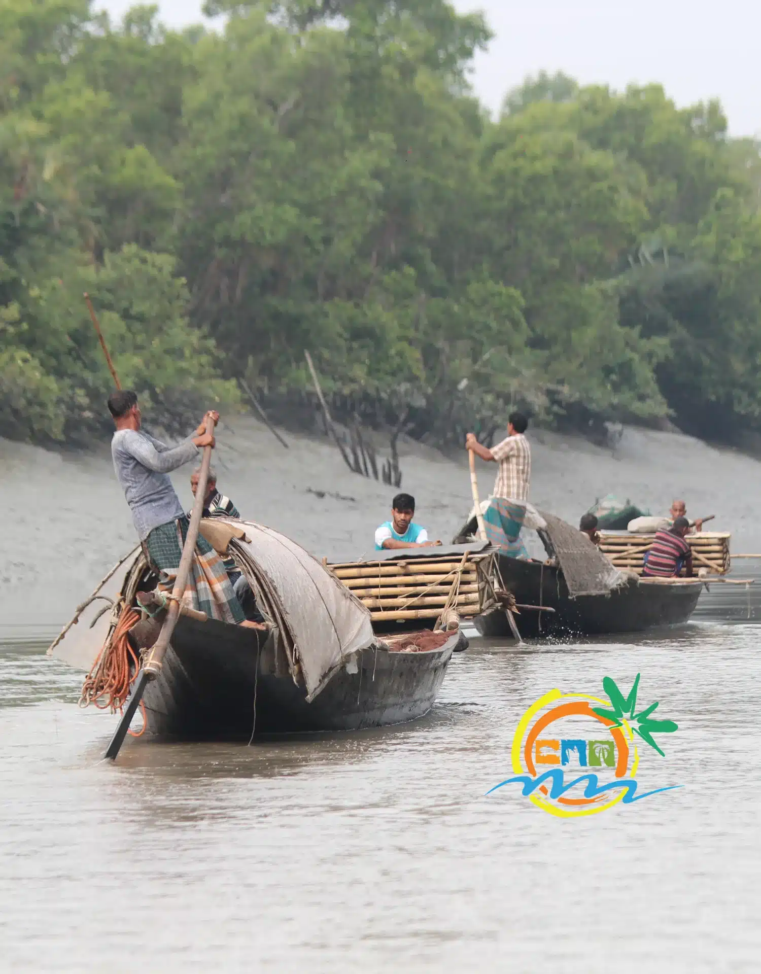 sundarban (53)