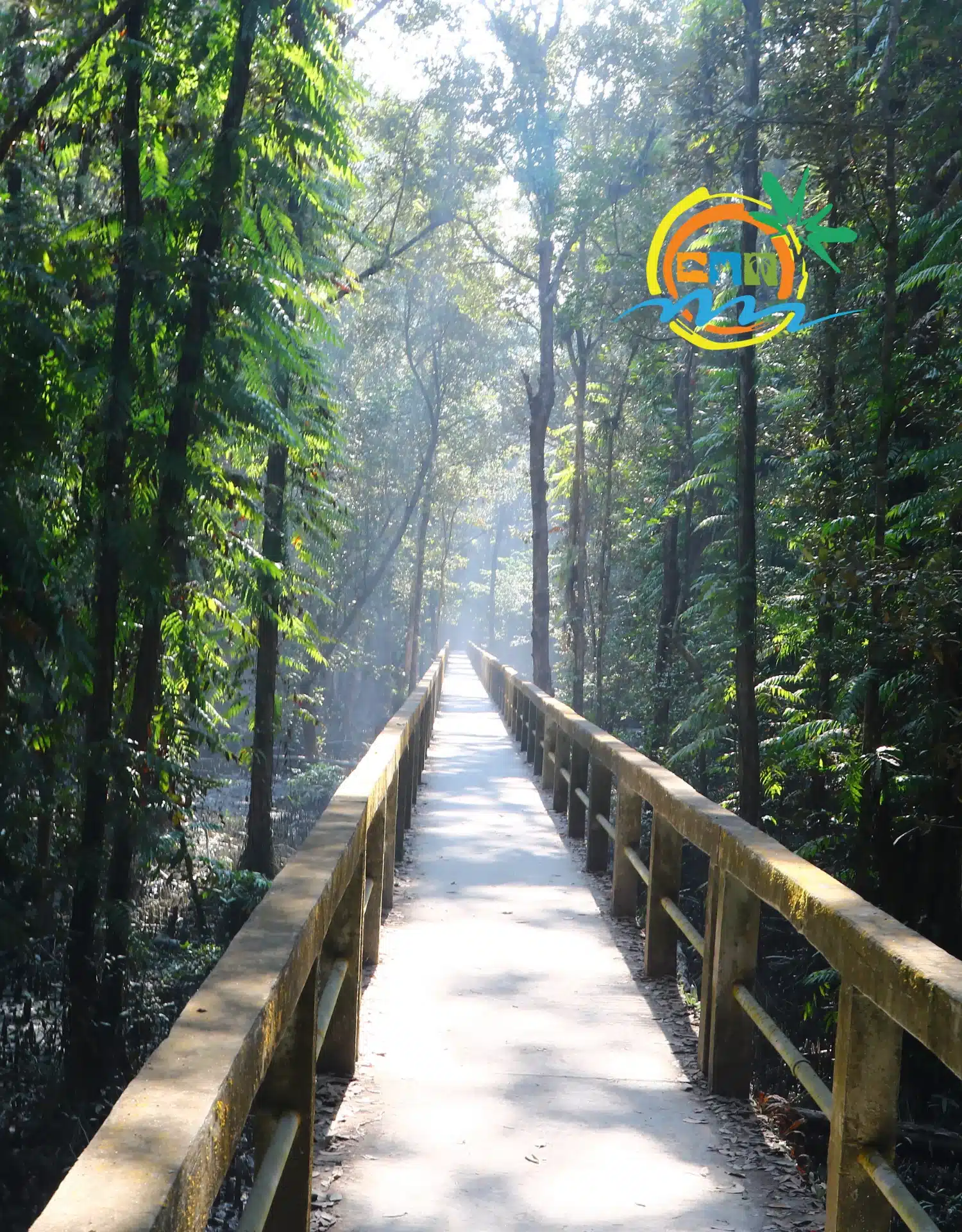 sundarban (54)