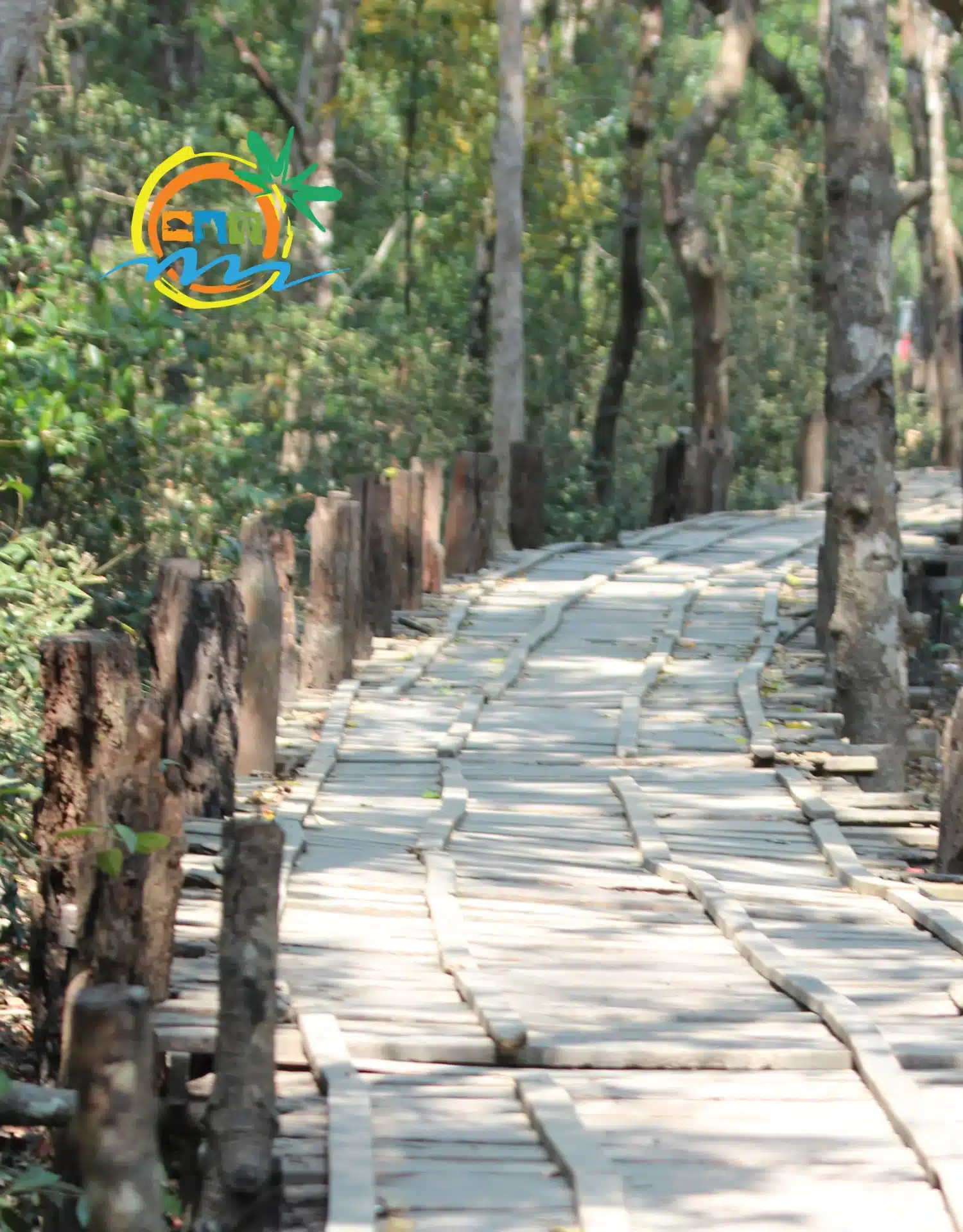 sundarban (58)