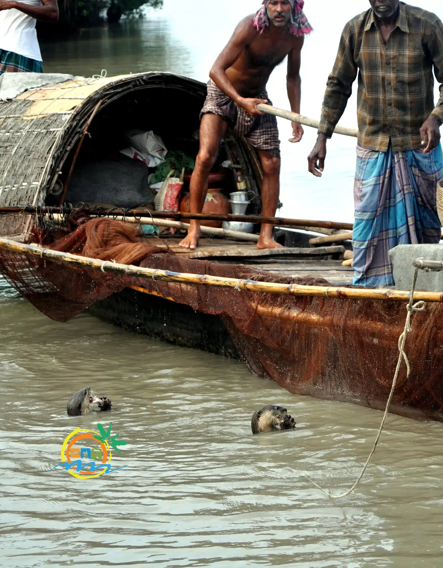 sundarban (63)