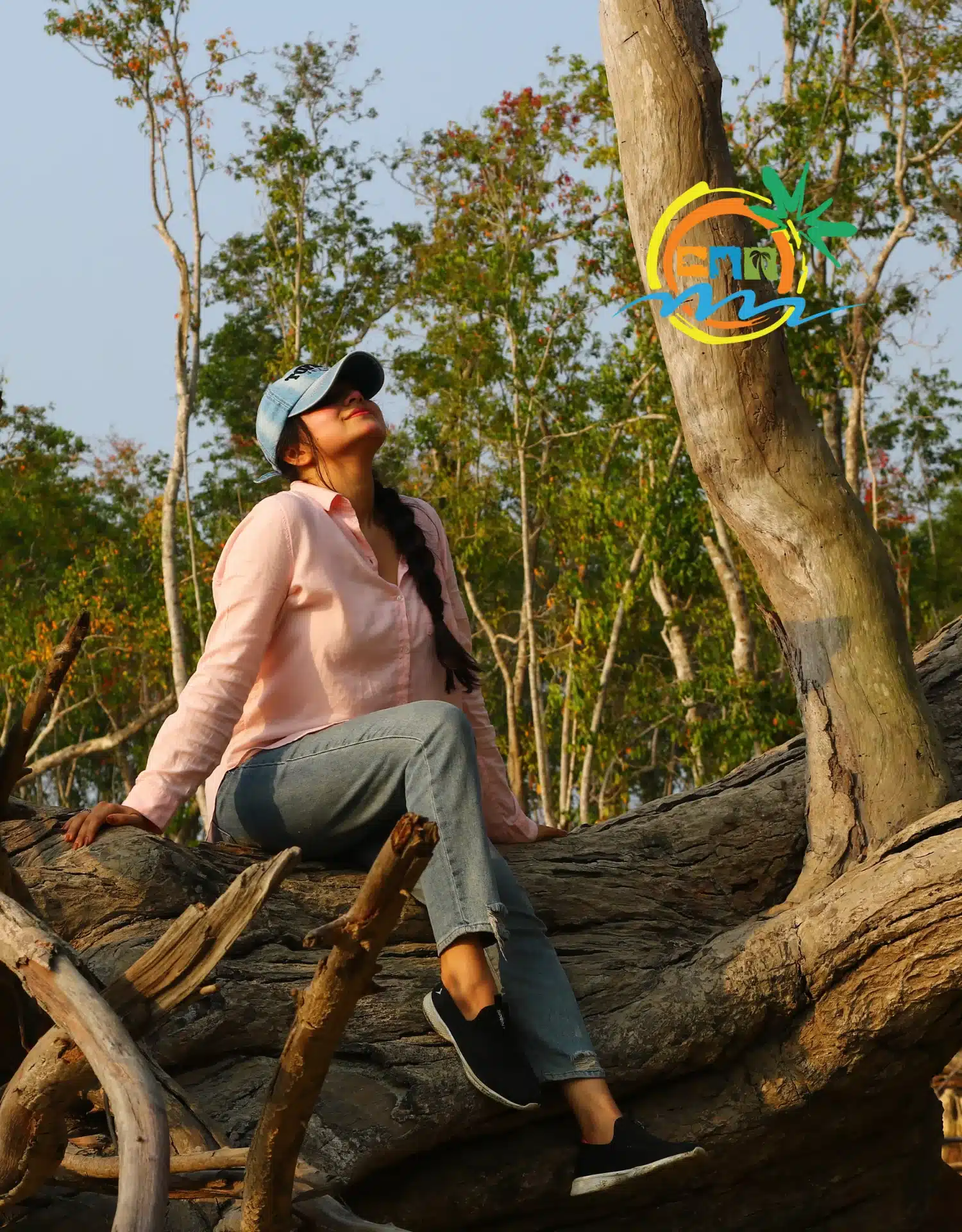 sundarban (7)