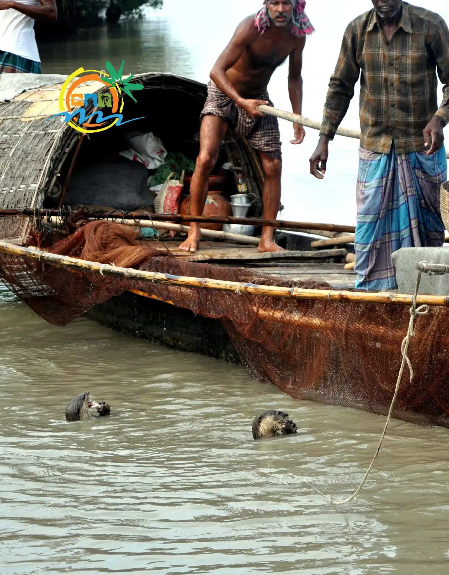 sundarban (71)