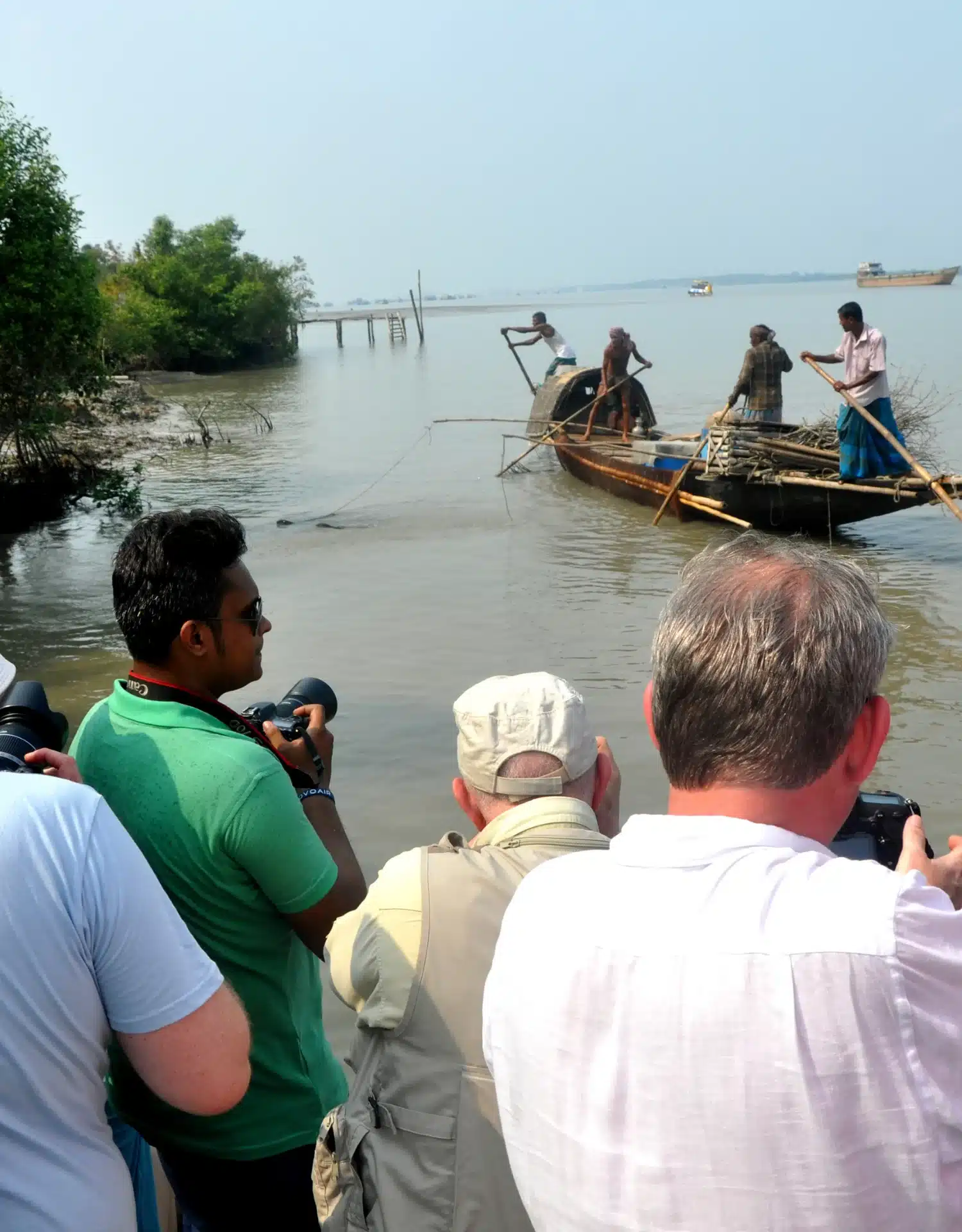 sundarban